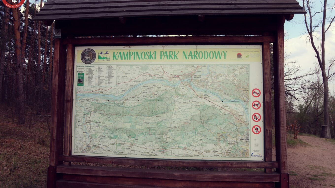 Na spacer i rowerową przejażdżkę – Kampinoski Park Narodowy wyjątkowym miejscem na zielonej mapie Mazowsza