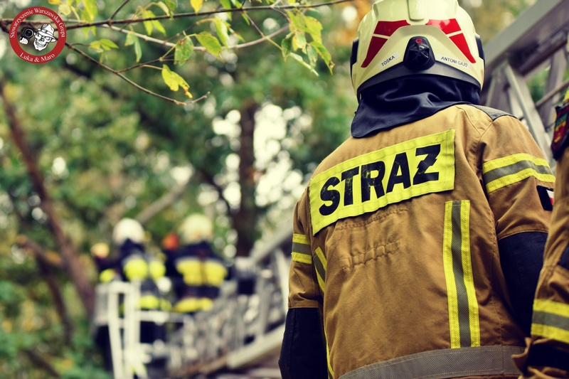 Silny wiatr w województwie mazowieckim. Strażacy usuwali powalone drzewa