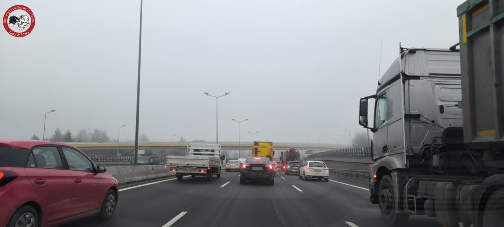 Gęsta mgła na drogach – apel o ostrożność do kierowców