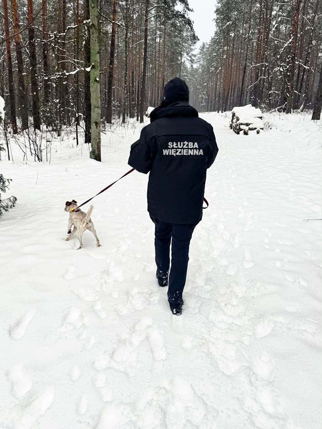 Służba Więzienna pomaga schroniskom. Realne wsparcie dla bezdomnych psów i kotów