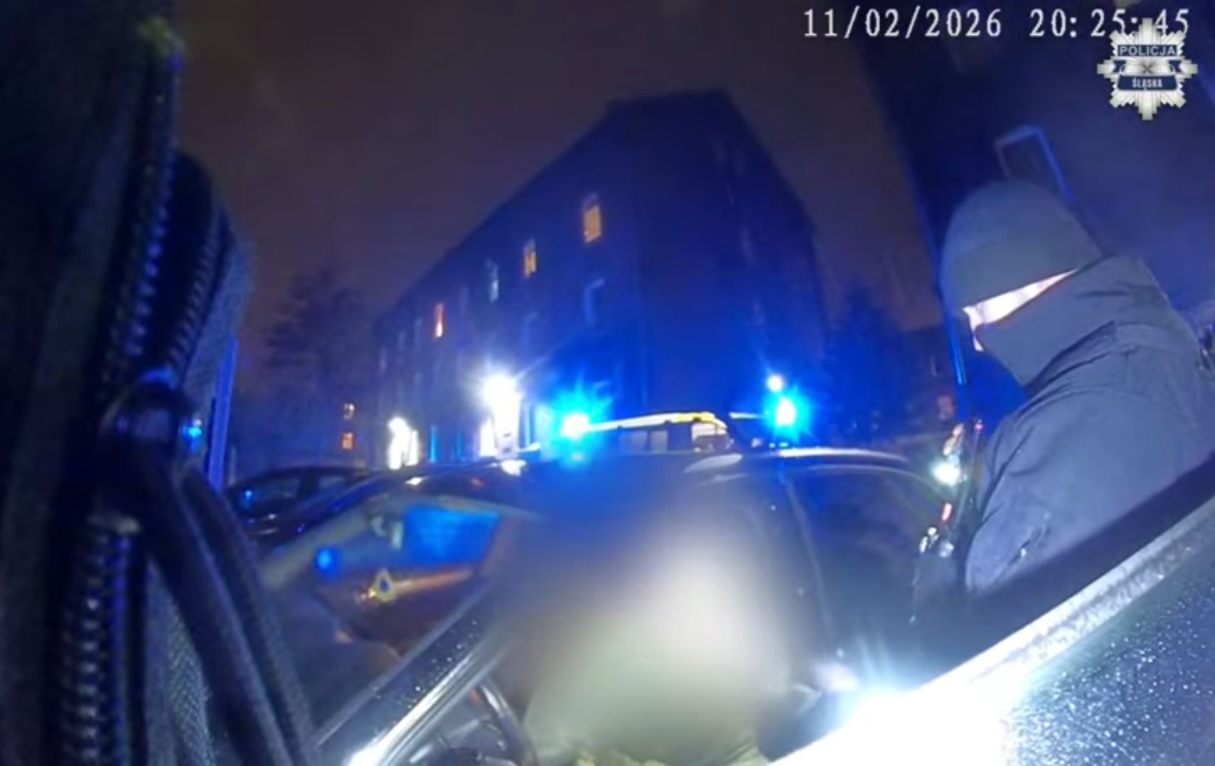 Agresja wobec policjantów doprowadziła do zatrzymania. Dwóch 30-latków w areszcie (wideo)