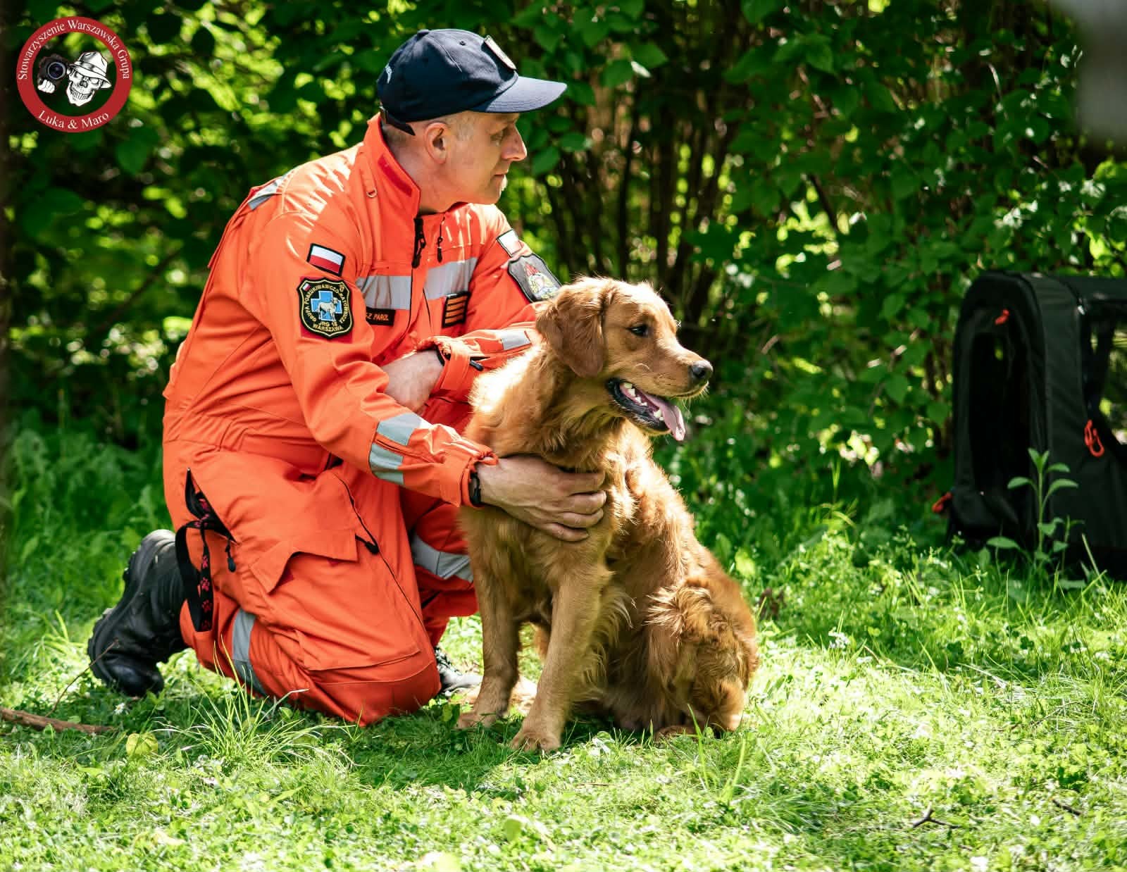 Dzień Psów Służbowych K9. Niezastąpieni partnerzy policji i ratowników