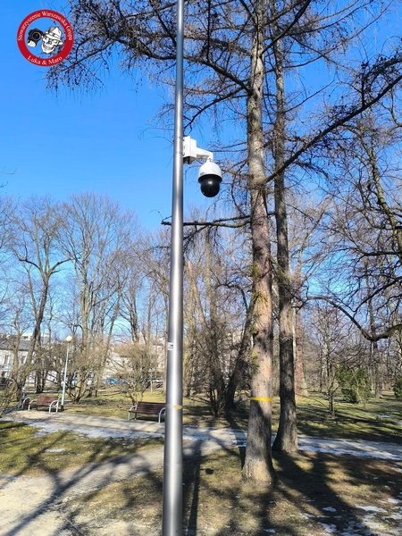 Mandat za niesprzątanie po psie? Coraz częstsza rzeczywistość w polskich miastach