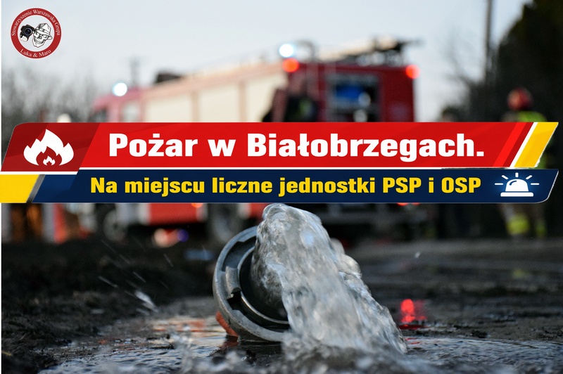 Pożar poszycia leśnego – interweniowały liczne zastępy straży