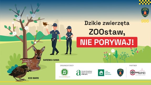 Ekopatrol ostrzega: nadmierna pomoc szkodzi dzikim zwierzętom